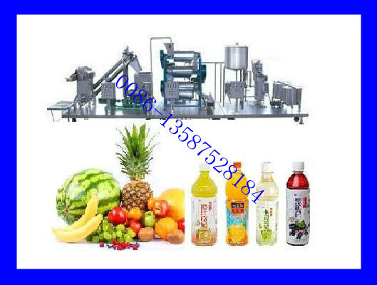 Complete Fruit Juice Processing Line (Hot Sale)