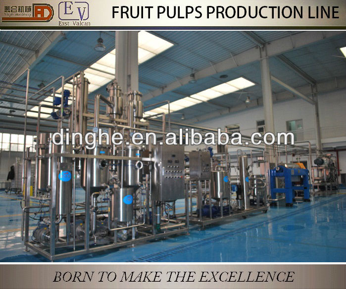Concentrated fruit puree production line, puree machine