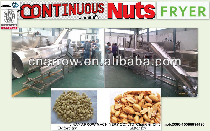 continuous nuts fryer