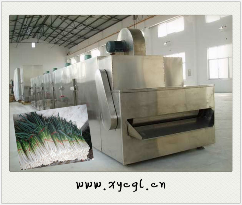 Convey Belt Dryers For Welsh Onion / Chinese Onion