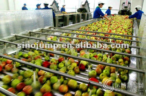 Different investment Apple/ pear Processing line