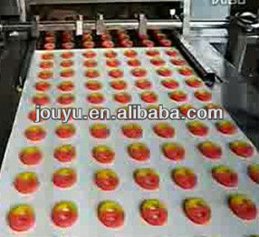 double color cookies depositing machine