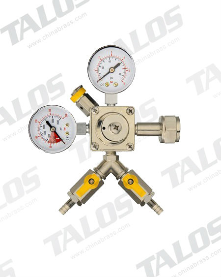 Double Gauge Regulator 1073102