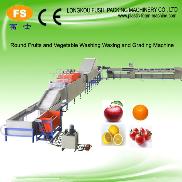 Electronic Fruit Weight Grading Machine