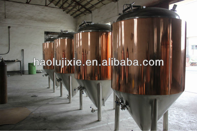 Fermentation tank/brewery equipment for pub, resturant