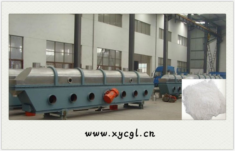 Fluidized Bed For Drying Boric Acid