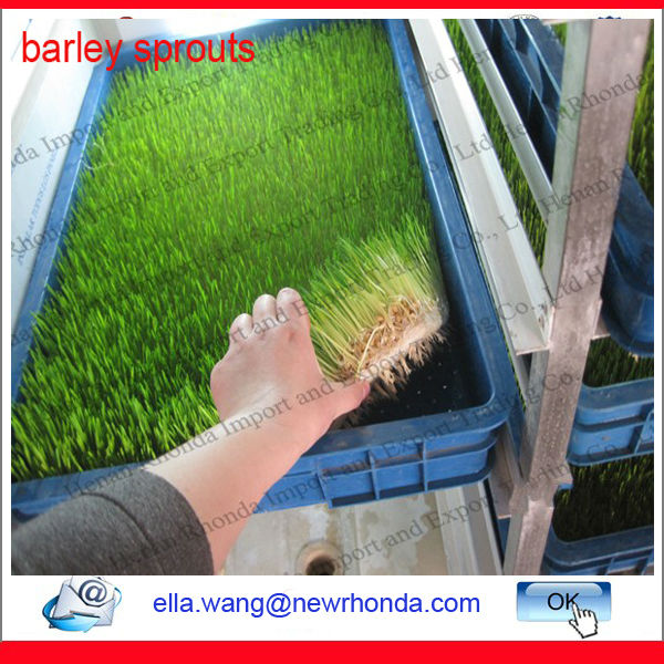 Free parts for mung bean sprouts making machine