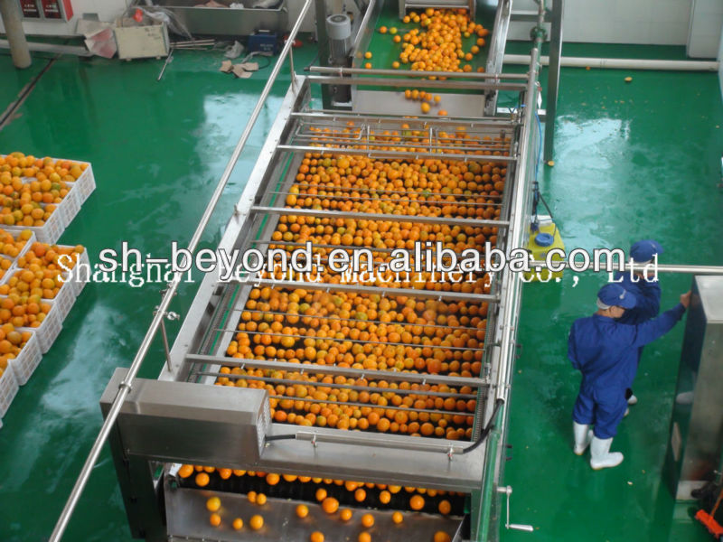fresh fruit orange processing line