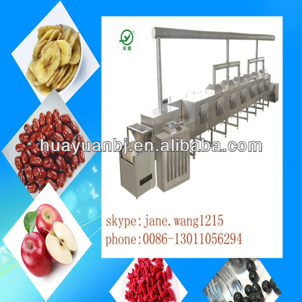 fruit and vegetable drying machine/microwave Sterilizing Machine