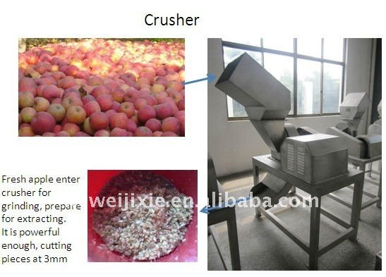 Fruit crushing mill/grinder