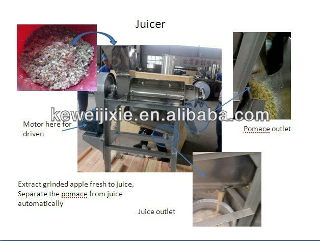 fruit juicer