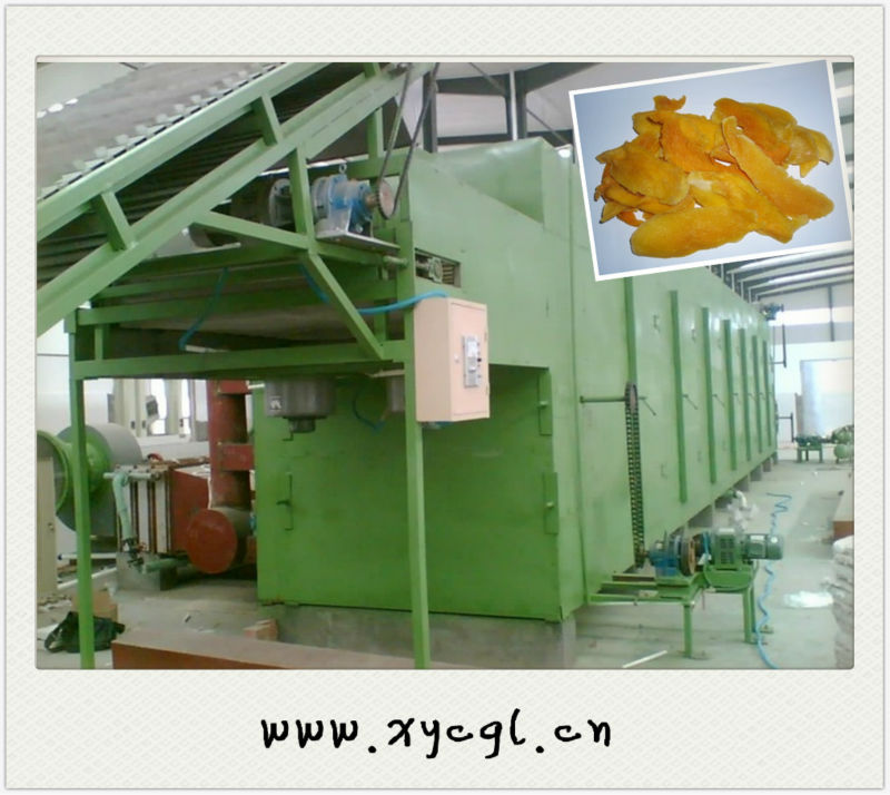 Fruity Dried Mango Processing Machine