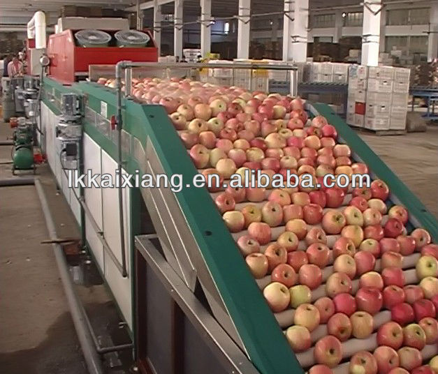 FXX-GDL2 Kaixiang Fruit Washing and Waxing machine