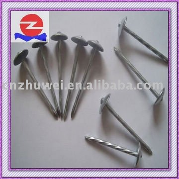 Galvanized Roofing Nail with Neoprene Washer