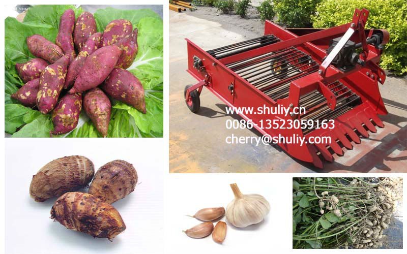 garlic harvester 0086-13523059163