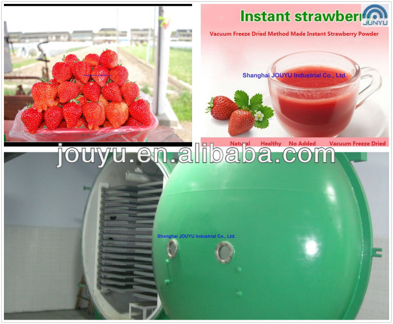 Healthy Freeze Dried Strawberry Powder Making Machines JYDFSB-014 Vacuum Freeze Dryer