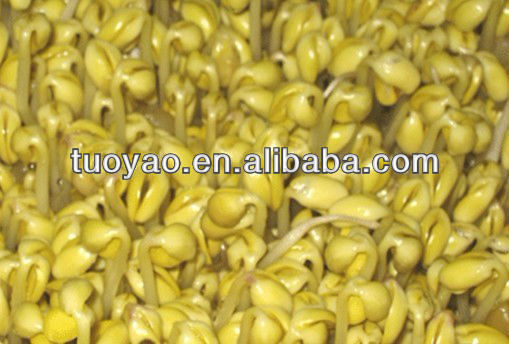 High Efficiency Hydroponic Wheat Sprout Machine