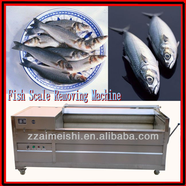 Hot sale fish scale remove machine