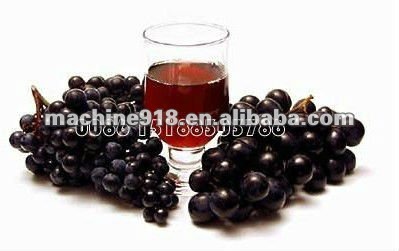 hot sell low cost grape juice extractor 0086 15638185393