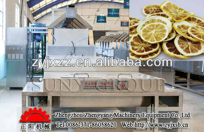 industrial high-tech lemon microwave dryer