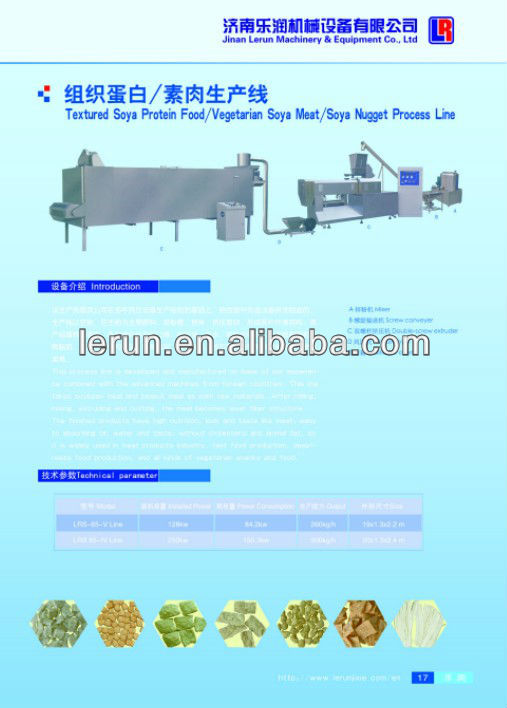 Industrial machinery for Soya Meat Food