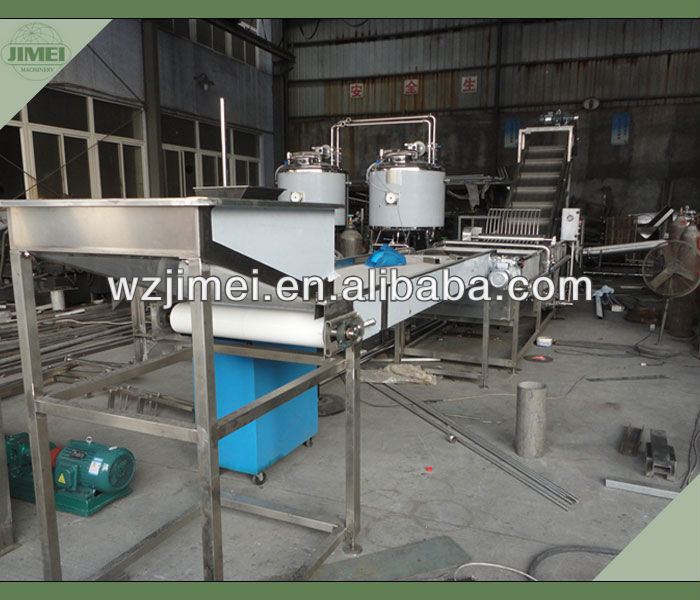 Industrial Mango Processing Line