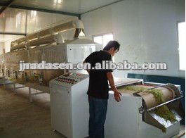 Jinan Adasen Tunnel bay leaves dryer/drying machine-Microwave Dryer