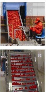 Ketchup Production Line