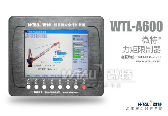 LMI system for crane