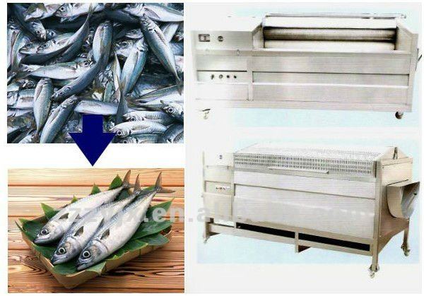 Low cost all tainless steel the fish scales take off machine