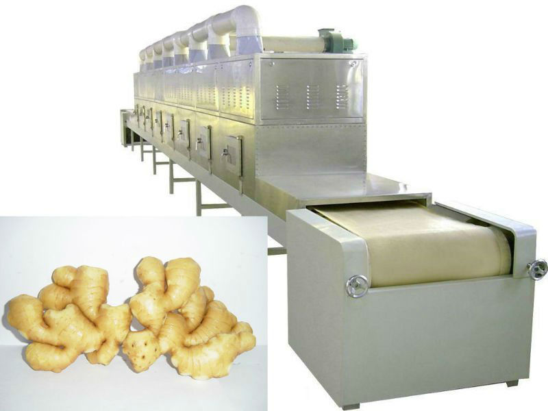 microwave ginger/ginger powder drying and sterilizing machine