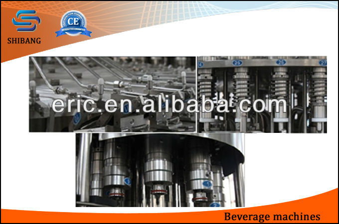 Mineral Water Bottling Machine