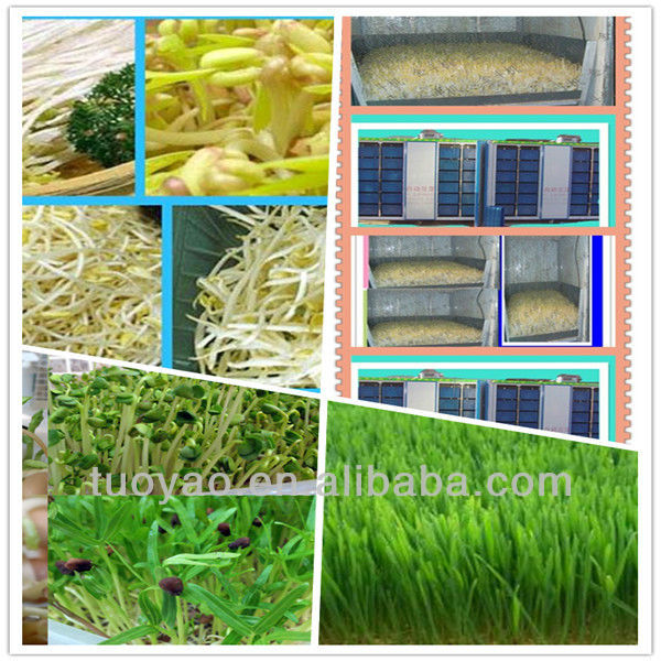 Mini Fodder Sprout System for farm in China