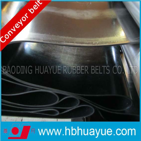 Mould edged endless nylon conveyor belt