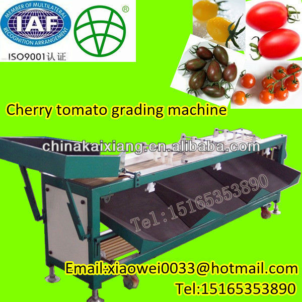 New style cherry tomato sorting machine