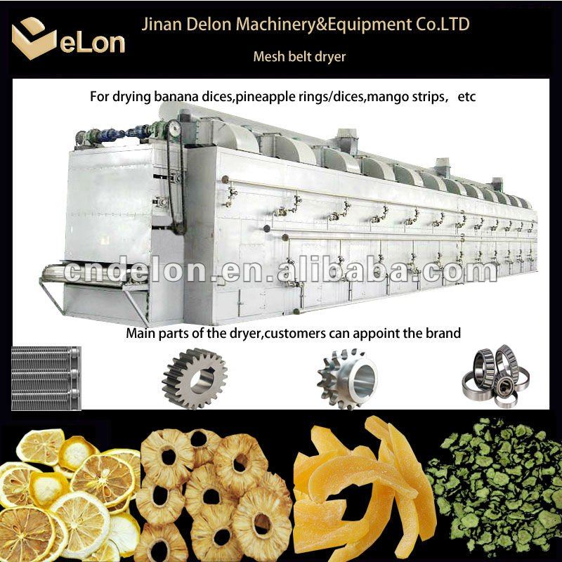 Pineapple mesh belt dryer for drying pineapple/apple slice/banana dices/Mango strips