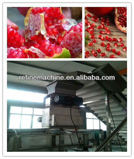 Pomegranate arils processing machine