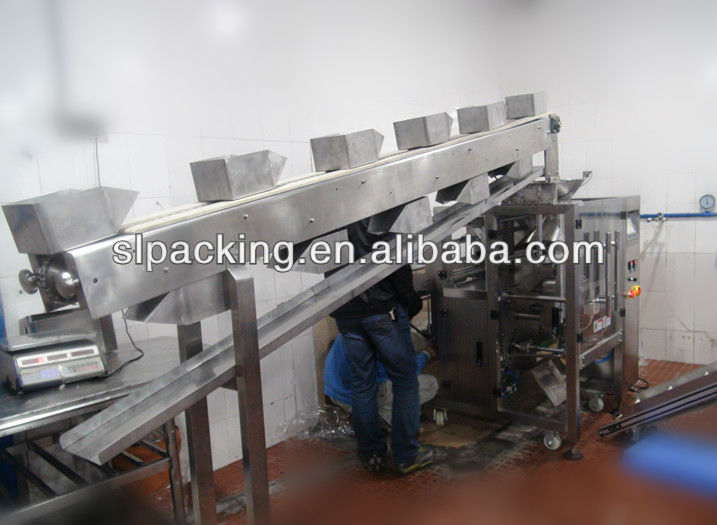 Price packaging machine for charcoal with chain bucket elevator SLIV-520