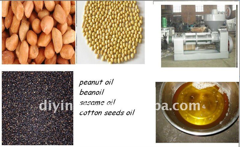 Rapeseed screw oil press machine