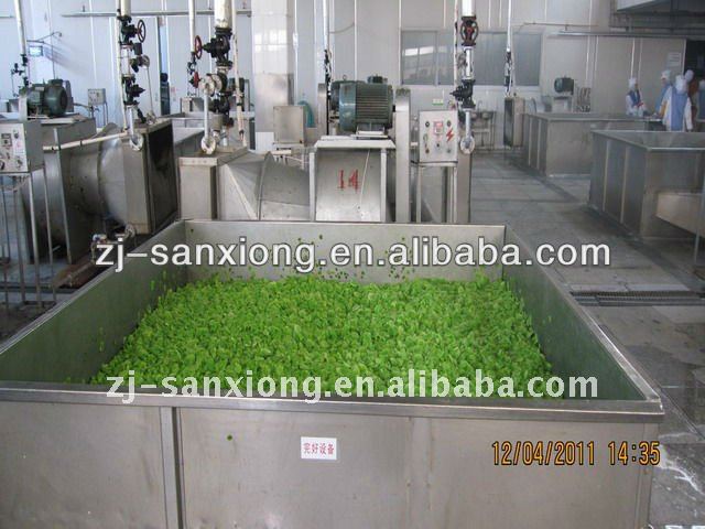 STJ-I box type vegetable drying machine