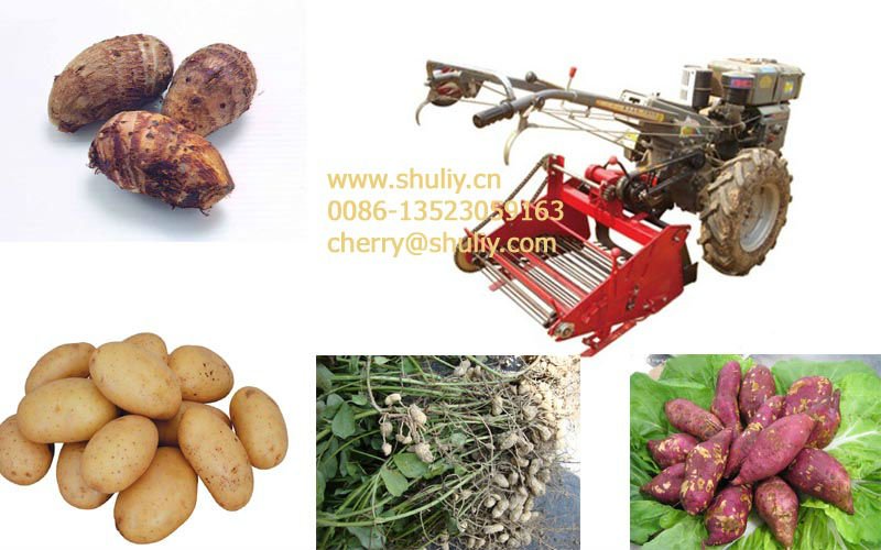 taro/sweet potato/potato/peanut harvester run by walking tractor 0086-13523059163
