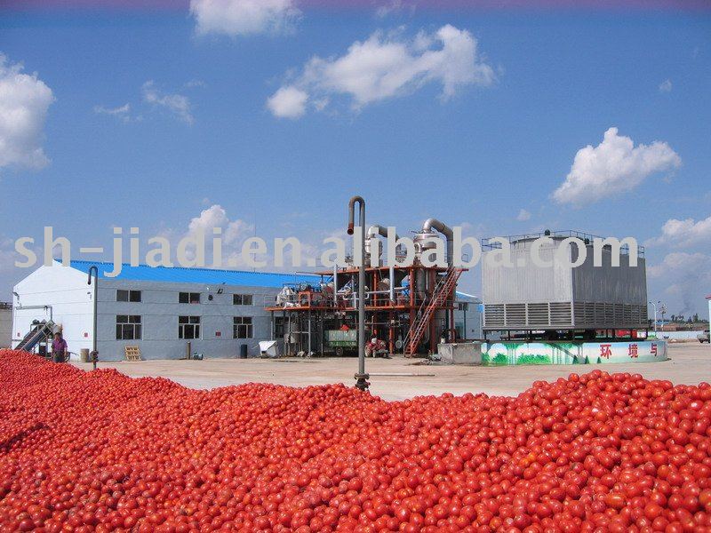 tomato paste production line