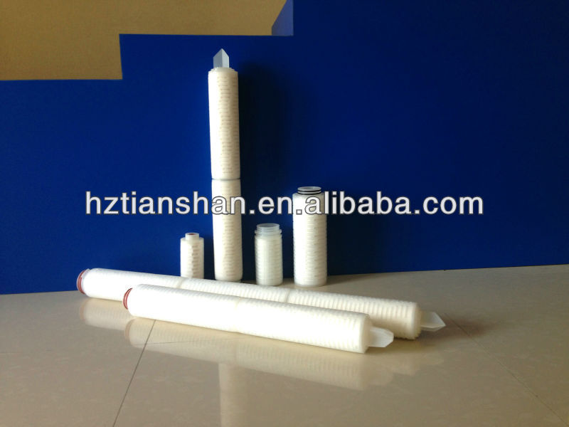TS 0.2Micron PES Pleated Filter Cartridges