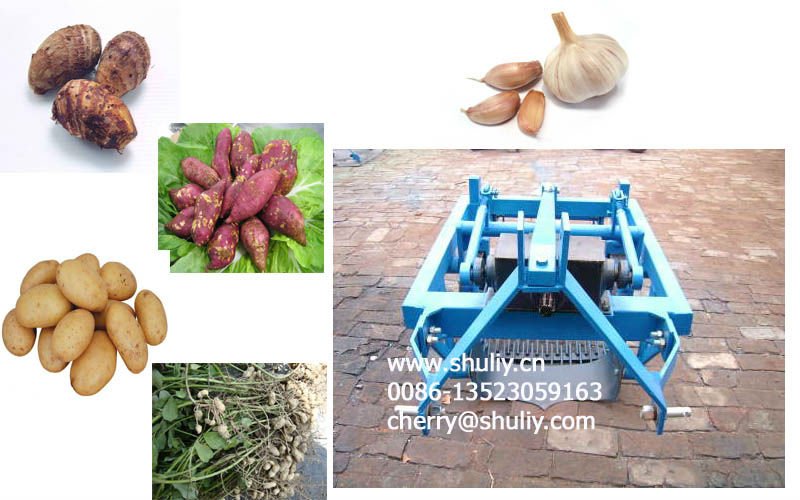 underground rhizome crops harvester 0086-13523059163