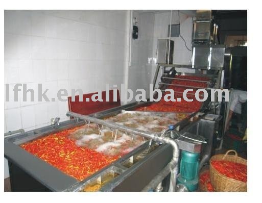Vegetable and fruit washing machine CXJ Vegetable and fruit washing machine