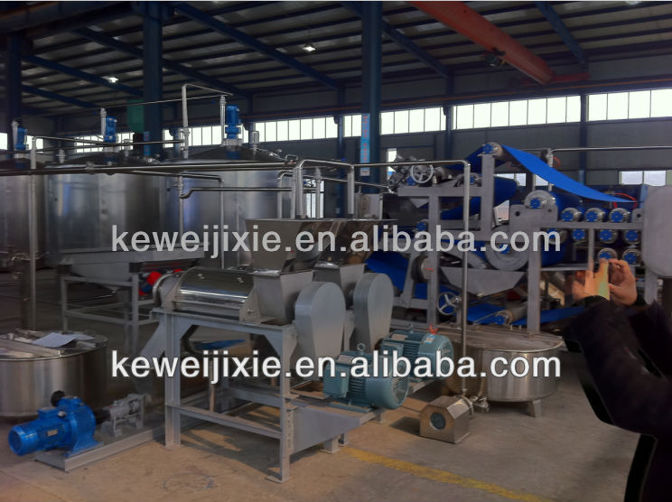 whole Fruit processing line