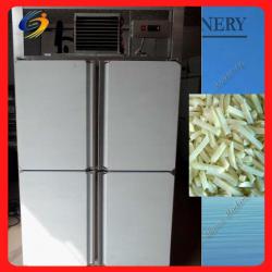 2 ALF best price industrial freezer price