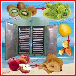 2013 Hot selling new functional fruit drying machine