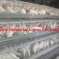 2013 most popular competitive price battery cages for laying hens