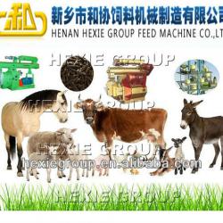 2013 Reliable Working and High Efficinecy Wood/Sawdust/Biomass Pellet Mill